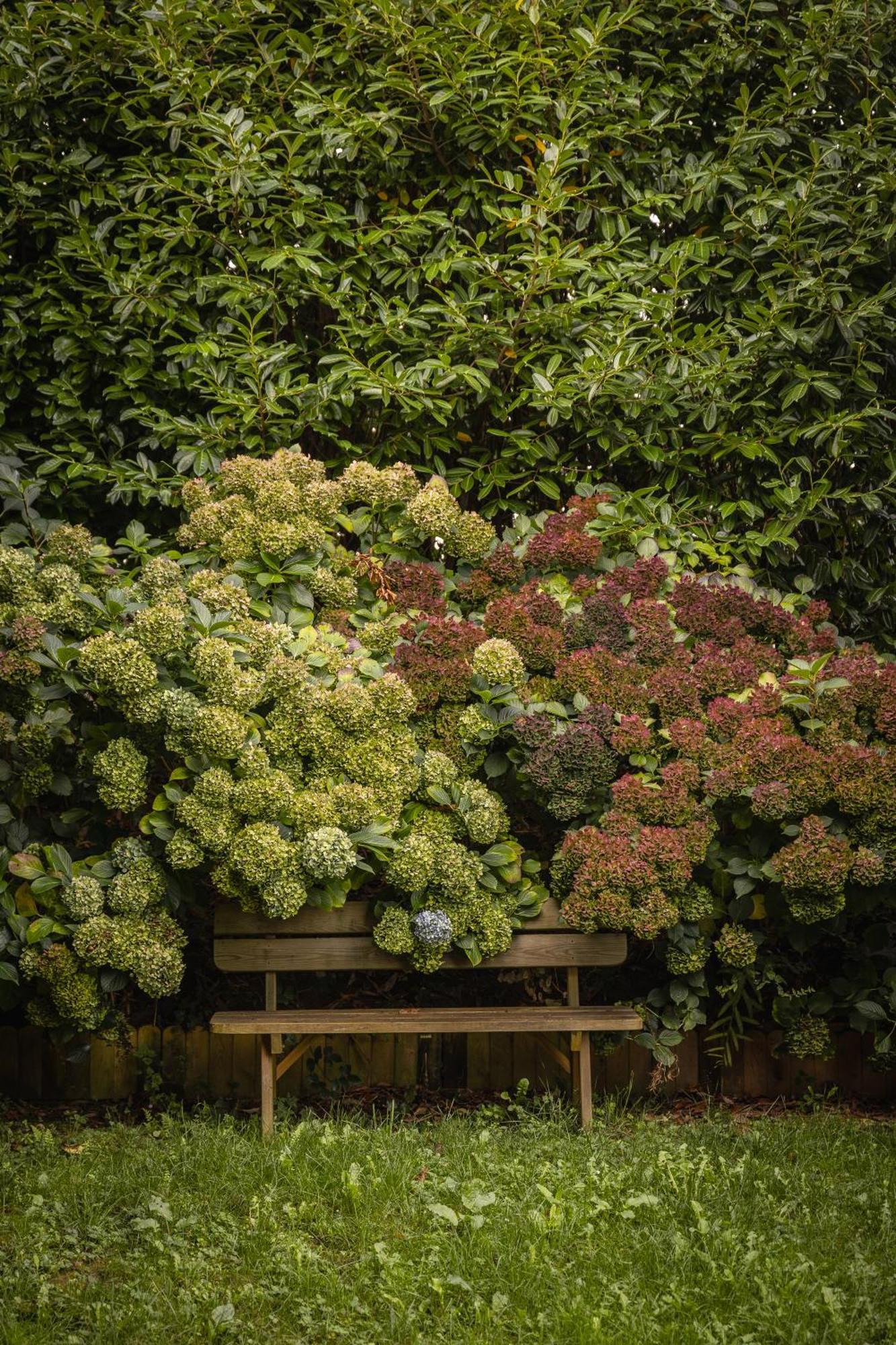 Le Jardin Enchanteur, Chaleureuse Maison D'Hotes Eco-Responsable, Calme Et Accueillante Loperec Bagian luar foto